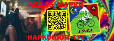 a pvp Краснознаменск