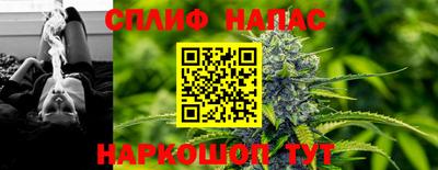 гашик Краснодар