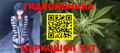 гашик Краснодар