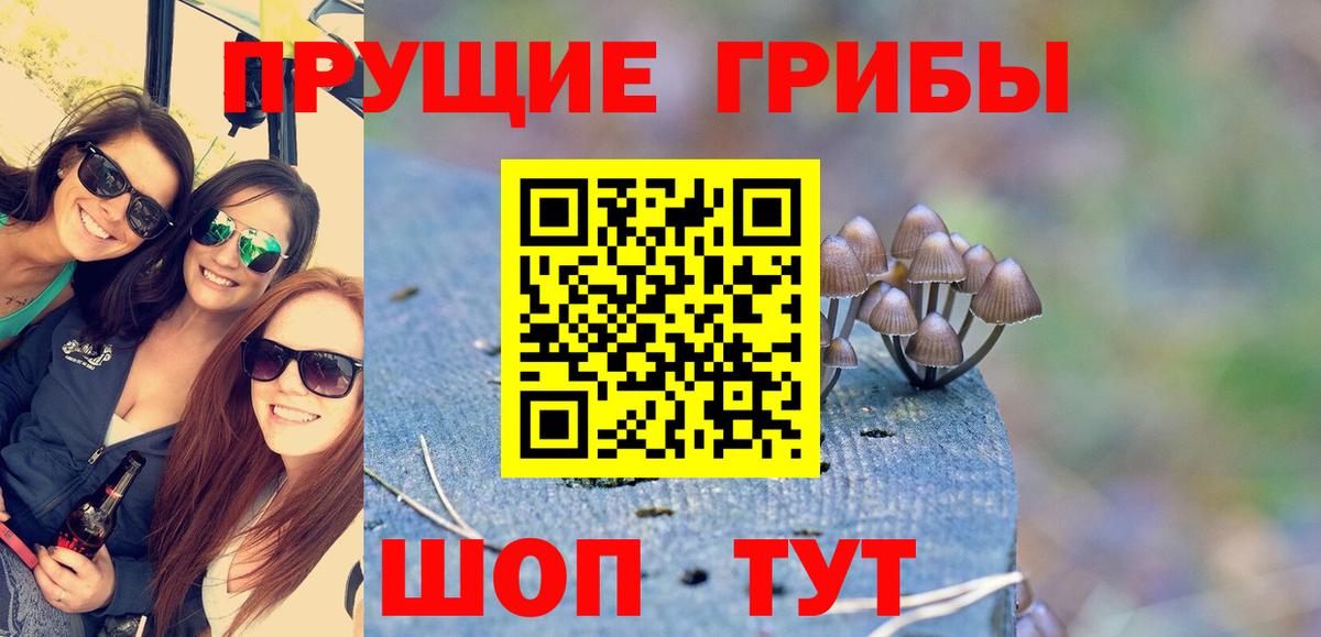 Галлюциногенные грибы Psilocybine cubensis  купить наркотик  Феодосия  Вход с VPN 